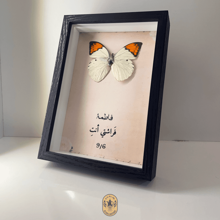اطار الفراشة المخصص